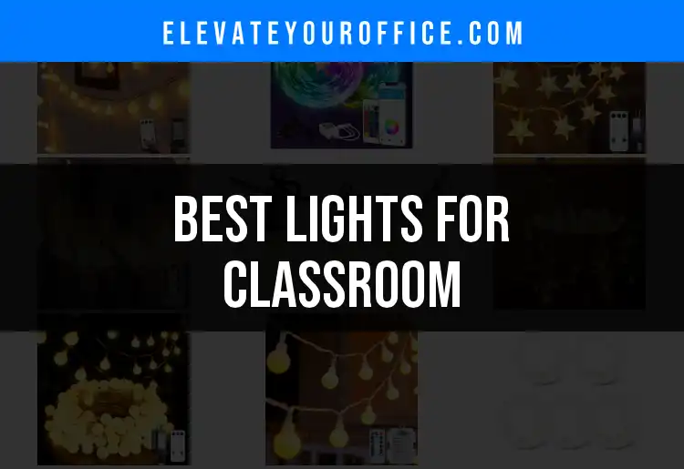 20 Best Lights for Classroom Brightness and Efficiency