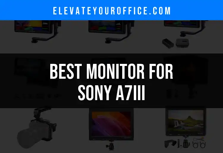 Top 10 Monitors for Sony A7III You Should Consider featured